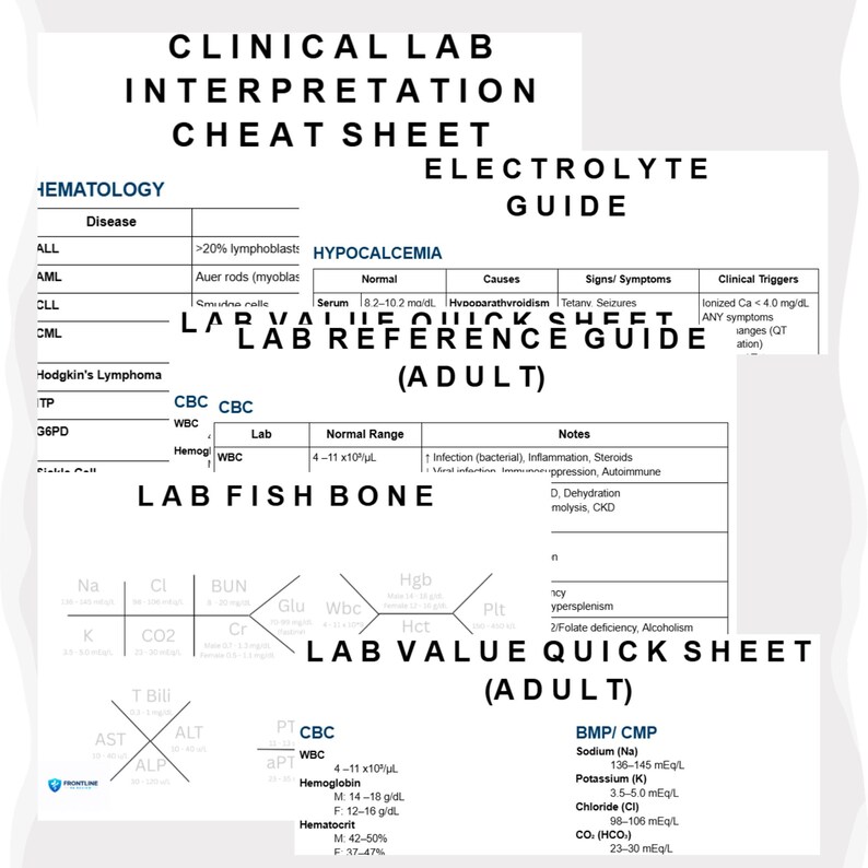 Lab Bundle | Lab Reference Guide, Electrolyte Guide, Clinical Lab Interpretation, Fishbone & Quick Reference | Students (Printable Pdf) image 3