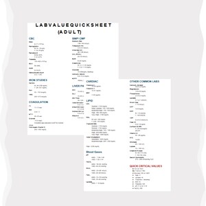 May include: A white document titled "LABVALUEQUICKSHEET (ADULT)" with sections for CBC, Iron Studies, Coagulation, BMP/CMP, Cardiac, Liver PA, Lipid, Blood Gases, and Quick Critical Values. The document contains medical lab values.