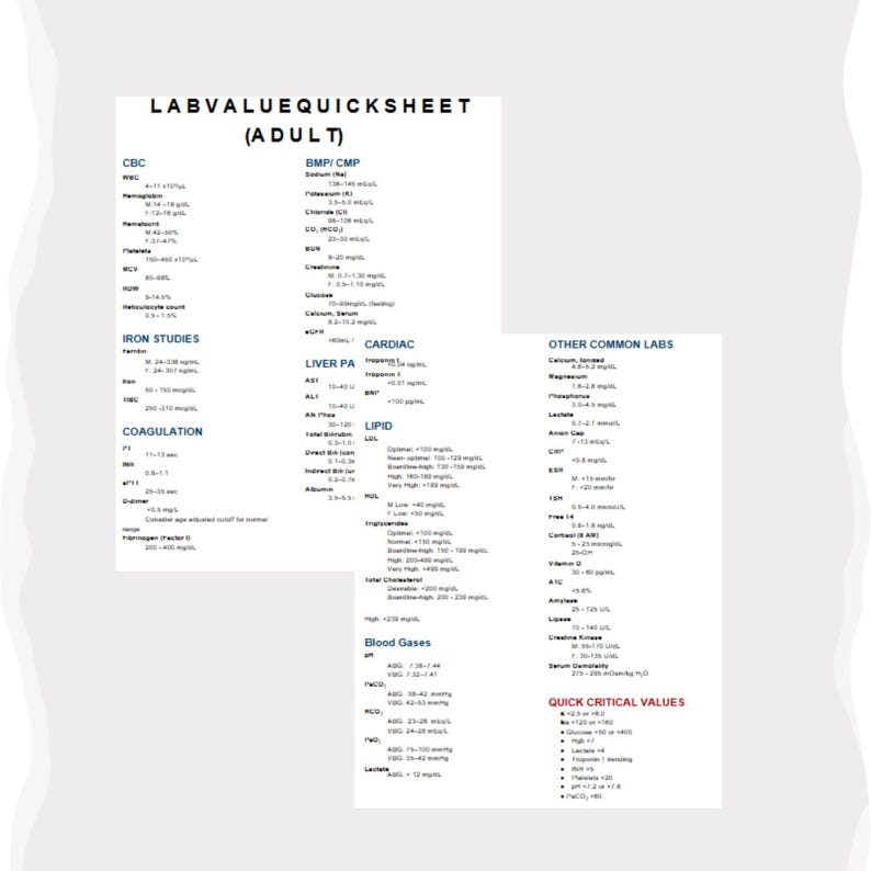 May include: A white document titled "LABVALUEQUICKSHEET (ADULT)" with sections for CBC, Iron Studies, Coagulation, BMP/CMP, Cardiac, Liver PA, Lipid, Blood Gases, and Quick Critical Values. The document contains medical lab values.