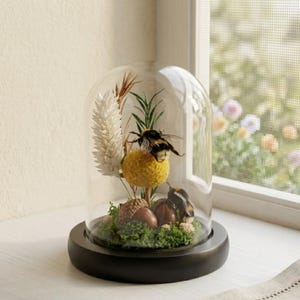 May include: A clear glass dome cloche with a black circular base containing a preserved display of green moss, two brown acorns, a yellow craspedia flower, a white dried plant, and two bumblebee specimens positioned on the moss and flower.