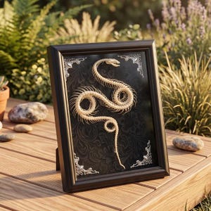 May include: A black rectangular frame containing a white snake skeleton mounted on a black background with a subtle floral pattern. The frame features silver-toned decorative corner accents, and the entire piece is displayed in an upright position.