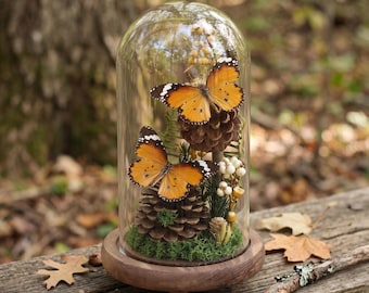 Geschenk für Paare | Cottagecore Raumdekor | Echte Doppel Schmetterling Specime in Hohe Glaskuppel