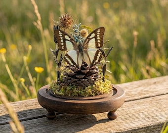 Real Mint Green Swallowtail Specimen | Woodland Glass Dome Cloche | Aesthetic Nature Gift