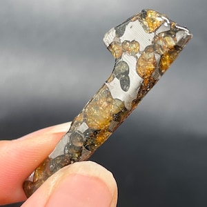 May include: A pallasite meteorite slice featuring a metallic iron-nickel matrix embedded with translucent, honey-colored olivine crystals. The specimen has an irregular, elongated shape with a distinct notch at the top, showcasing a polished surface.