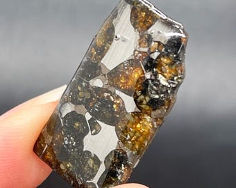 Fragmento de meteorito Seymchan Pallasite, Meteorito Olive, Recubrimiento anticorrosivo (30x17,3x3,8 mm)