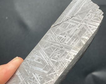 257.8g Gibeon Iron Meteorite Slice , Natural Meteorite Specimen (131.1x29.7x14.6mm)