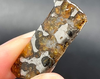 Fragmento de meteorito Seymchan Pallasite, Meteorito Olive, Recubrimiento anticorrosivo (31,9 x 14,8 x 4,3 mm)