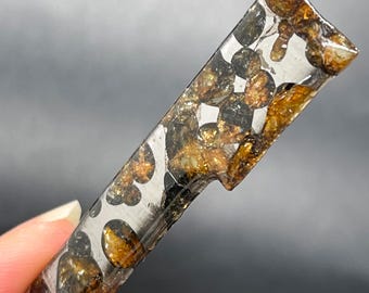 Fragmento de meteorito Seymchan Pallasite, Meteorito Olive, Recubrimiento anticorrosivo (66,9 x 14 x 4,3 mm)