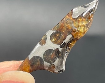Fatia de meteorito pallasita de Seymchan, meteorito verde-oliva, revestimento antiferrugem (35,4 x 13,1 x 4,2 mm)