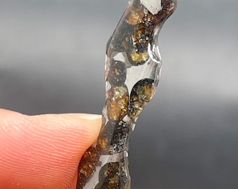 Fatia de meteorito pallasita Seymchan, meteorito verde-oliva, revestimento antiferrugem (34,4 x 10,2 x 3,6 mm)