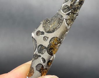 Fragmento de meteorito Seymchan Pallasite, Meteorito Olive, Recubrimiento anticorrosivo (44,5 x 15 x 3,9 mm)