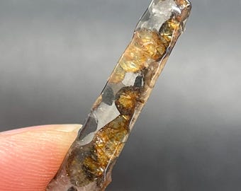 Fatia de meteorito pallasita de Seymchan, meteorito verde-oliva, revestimento antiferrugem (31,4 x 7,8 x 3,5 mm)