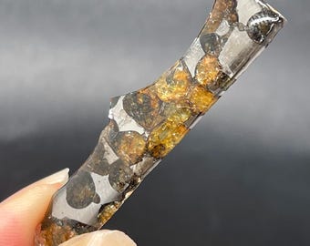 Fragmento de meteorito Seymchan Pallasite, Meteorito Olive, Recubrimiento anticorrosivo (51,7 x 14,2 x 4,2 mm)