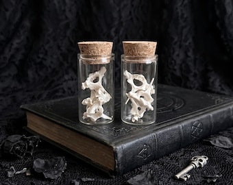 May include: Two small glass bottles with cork stoppers, each containing a white bone specimen. The bottles sit on a dark, antique book with a decorative key nearby, all against a black backdrop. The scene evokes a gothic or curiosity aesthetic.
