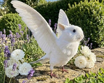 White Rabbit Pigeon & Chimera Mount | Wing Stance | Whimsical Oddity Decor