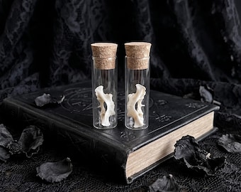 Kaninchen Atlaswirbel & Wirbelsäulensegment | Verkorktes Miniatur Gefäß | Esoterische Altar Dekoration | Einzigartige Geschenke