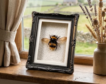 Bumblebee Specimen & Mounted Insect | Mothers Day Gift | Oddities Collector Gift | Banded Anatomy Display