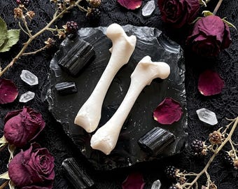 Skunk dijbeen en beenbot | Fragment bleek osteologie | Donker cottagecore-decor | Bijzonderheden verzamelcadeau