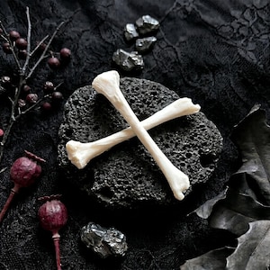 Skunk Tibia Bone & Skeletal Fragment | Cleaned Osteology Element | Dark Cottagecore Decor