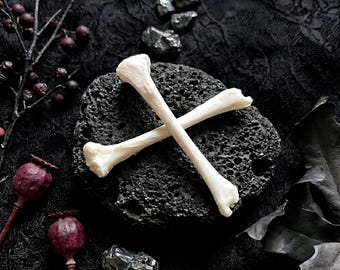 Skunk Tibia Bone & Skeletal Fragment | Cleaned Osteology Element | Dark Cottagecore Decor