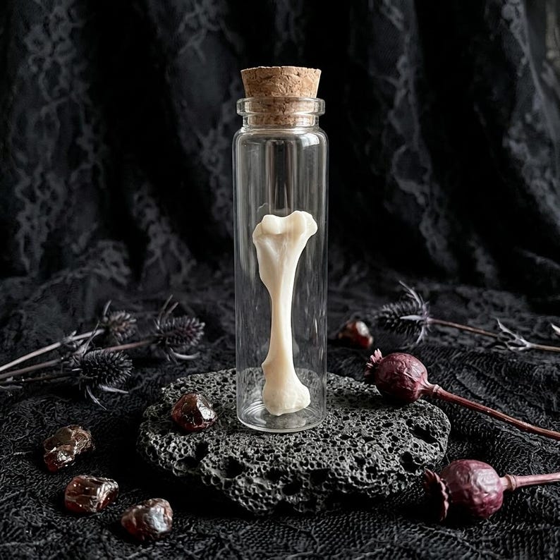 K&ouml;nnte beinhalten: Eine klare Glasflasche mit einem Korken enth&auml;lt eine Knochenprobe. Der Knochen ist cremefarben und wird auf einer dunklen, strukturierten Oberfl&auml;che pr&auml;sentiert. Der Hintergrund zeigt dunklen Stoff und getrocknete florale Elemente.