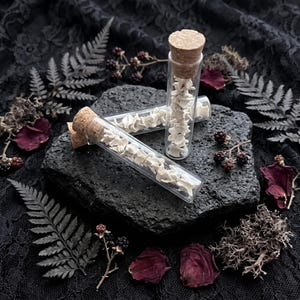 May include: Three clear glass vials with cork stoppers, each filled with small, white vertebrae. The vials rest on a dark, textured stone, surrounded by dried botanicals and dark lace fabric.