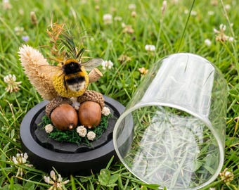 Bumblebee Taxidermy Glass Dome & Floral Cloche | Botanical Insect Diorama | Mothers Day Gift | Home Decor
