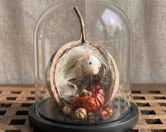 Prepared White Mouse Glass Dome | Botanical Husk & Pumpkin Nest | Cottagecore Room Decor | Cottagecore Room Decor