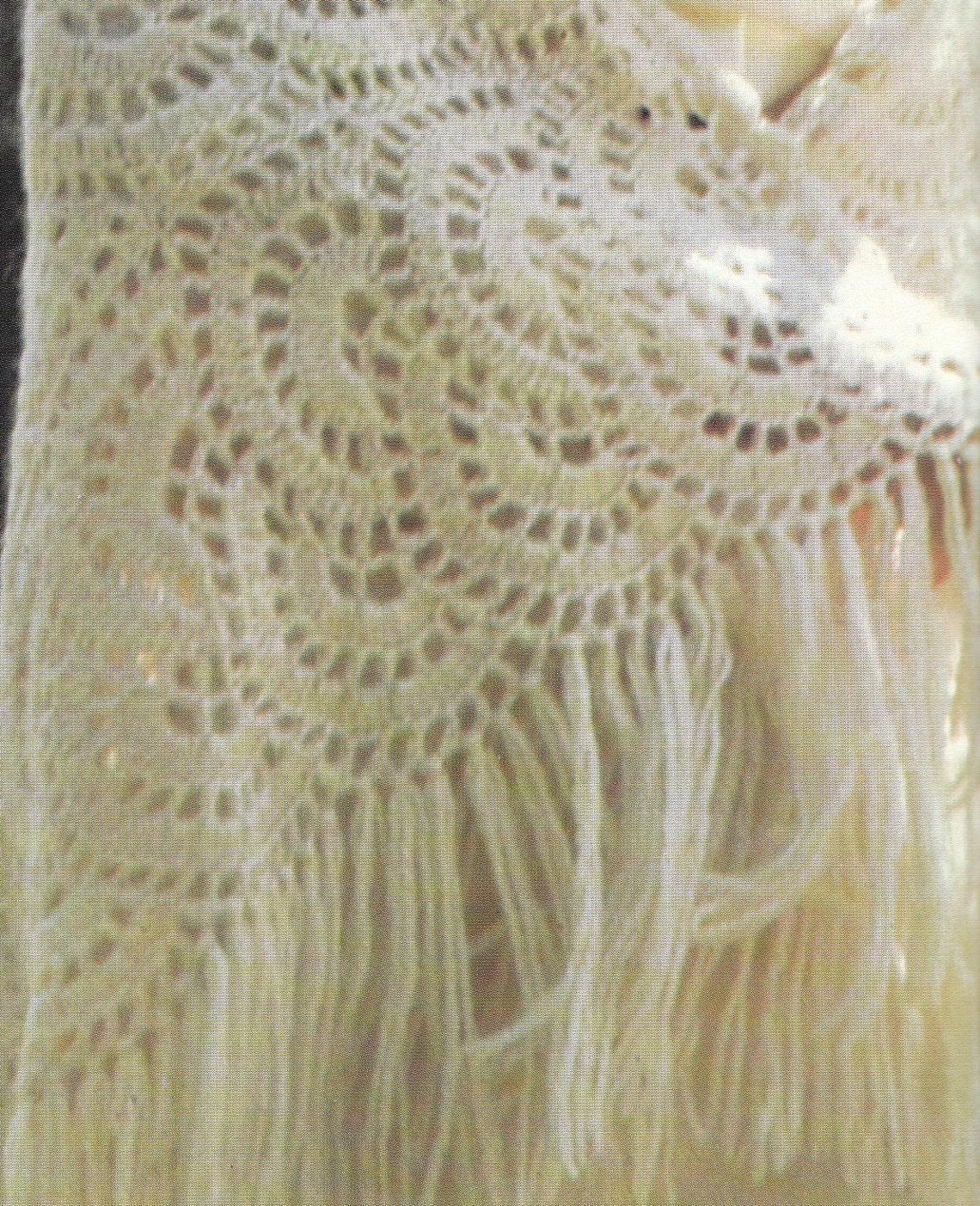 Crochet Semicircle Motif Shawl 1970's Vintage Crocheting | Etsy