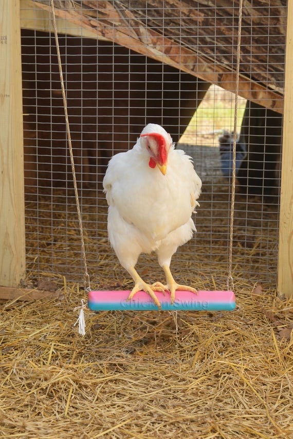 3D Printed Chicken Swing Perch Bar, Coop Enrichment Toy