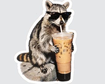 Divertida pegatina de mapache bebiendo café helado, calcomanía de mapache con gafas de sol