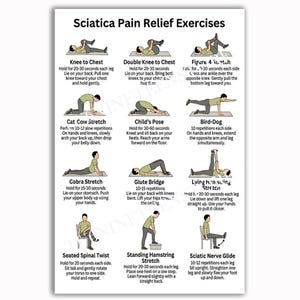 May include: A white poster titled "Sciatica Pain Relief Exercises" with illustrations demonstrating various stretches. The exercises include Knee to Chest, Double Knee to Chest, and Cobra Stretch, among others. Instructions accompany each exercise.