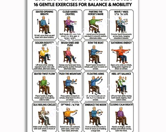 Chair Tai Chi for Seniors Poster, 16 Gentle Exercises Chart, Elderly Workout Wall Art