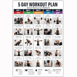 May include: A 5-day workout plan poster titled Build Muscle & Strength, featuring a grid layout with five columns for Chest, Back, Shoulders, Legs, and Arms. Each section includes exercise names, sets, reps, and photographic illustrations.