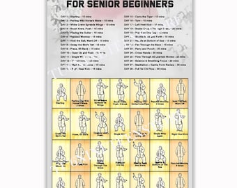 28 Day Tai Chi Challenge Poster, Senior Fitness Workout Chart, Martial Arts Wall Art