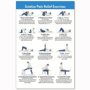 May include: A white instructional poster titled Sciatica Pain Relief Exercises featuring twelve numbered illustrations of a person performing various stretches and movements, including knee to chest, cat-cow, child's pose, and glute bridge.