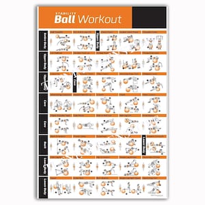 May include: A rectangular instructional poster titled Stability Ball Workout with an orange and black header. It features a grid of black and white line drawings demonstrating various exercises using a stability ball, categorized by body area.