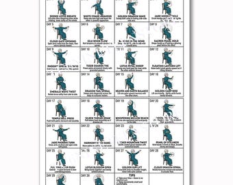 30-Day Tai Chi Chair Workout Poster, Seated Qi Gong Exercise Chart