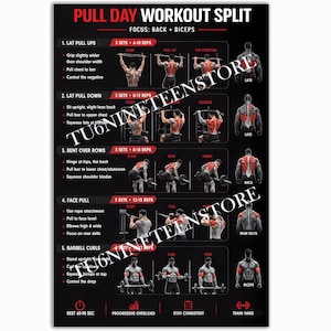 May include: A black and red instructional workout poster titled PULL DAY WORKOUT SPLIT. It features five exercises: lat pull ups, lat pull down, bent over rows, face pull, and barbell curls, with diagrams showing start and finish positions.