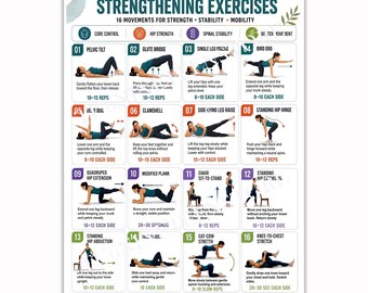 Lower Back Strengthening Exercises Poster Core Fitness Workout Home Gym Art Deco