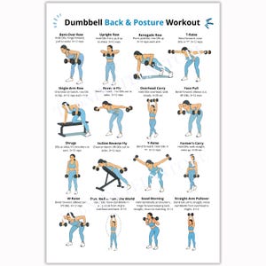 May include: A white instructional poster titled Dumbbell Back & Posture Workout featuring illustrations of a person in blue athletic wear performing various exercises with dumbbells, including rows, raises, and carries with descriptive text instructions.