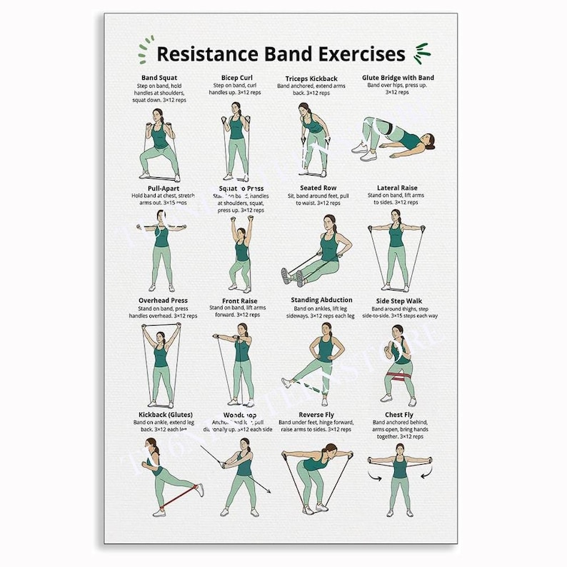 May include: A white instructional poster titled Resistance Band Exercises featuring sixteen illustrations of a person in teal athletic wear demonstrating various fitness movements with resistance bands, including squats, curls, and rows.
