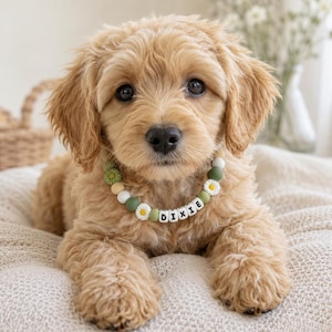 パーソナライズされたデイジービーズの友情ネックレス シリコンビーズ カスタム犬ママギフト 新しい子犬ネックレス ペットアクセサリー ビーズ犬の名前ネックレス