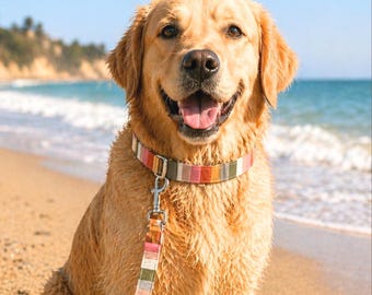 Set personalizzato di collare e guinzaglio per cani con nome inciso sulla fibbia. Collare regolabile personalizzato per animali domestici con nome inciso. Regalo ideale per la neomamma di un cucciolo.