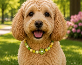 Collana personalizzata per animali domestici con perline in silicone, nome personalizzato, regalo per la mamma di un cane, collana per cuccioli, accessorio per animali domestici, collana con nome per cani e perline, gioiello personalizzato