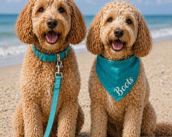 Set collare e guinzaglio personalizzato Aqua Dog Regalo per la mamma del cane Nuovo cucciolo Collare per cani personalizzato fatto a mano Nome inciso Accessorio per animali domestici Collare personalizzato