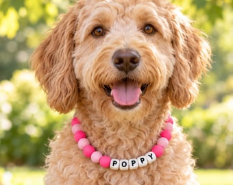 May include: A dog collar featuring alternating bright pink and light pink spherical beads, with white square beads in the center spelling the name POPPY in black capital letters. The collar is worn around the neck of a curly-haired golden dog.
