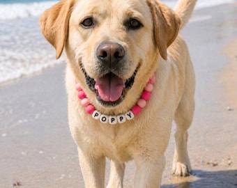 Gepersonaliseerde vriendschapsketting met kralen siliconen kralen aangepaste hond moeder cadeau nieuwe puppy ketting huisdier accessoire kralen hondennaam ketting op maat