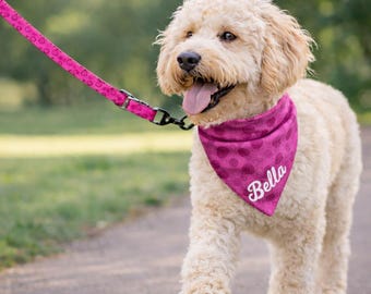 Personalized Dog Collar and Leash Set Custom Engraved Name on Buckle Personalized Adjustable Pet Collar Name Engraved New Puppy Rescue Gift