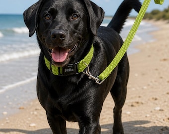 Set personalizzato di collare e guinzaglio per cani con nome inciso sulla fibbia. Collare regolabile personalizzato per animali domestici con nome inciso. Regalo ideale per cuccioli adottati.
